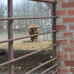 LEA Broderick, Moo&#039;s dad