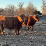 Annie, on left &amp; Belle, on right at 9 years old 2.8.2024