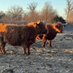 Annie, on left &amp; Belle, on right at 9 years old 2.8.2024