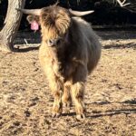 Toby 4.2.2024